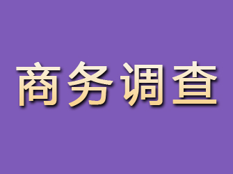 惠农商务调查